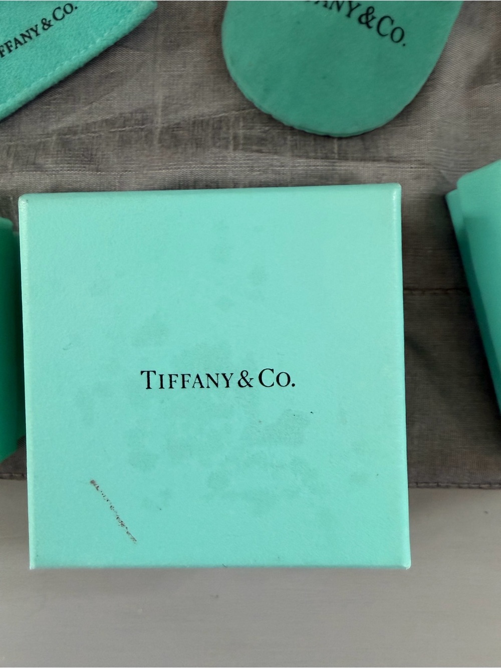Tiffany & Co. Signature Blue Jewelry Boxes and Pouches - Picture 9 of 13